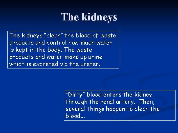 The kidneys “clean” the blood of waste products and control how much water is