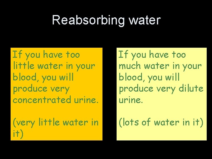 Reabsorbing water If you have too little water in your blood, you will produce