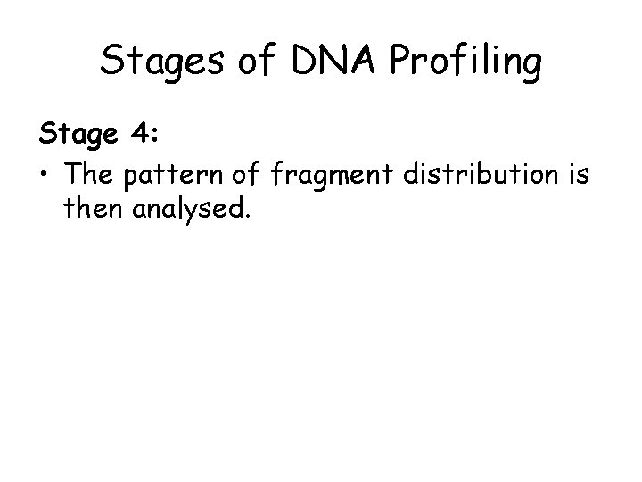 Stages of DNA Profiling Stage 4: • The pattern of fragment distribution is then