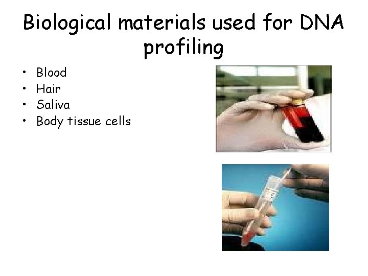 Biological materials used for DNA profiling • • Blood Hair Saliva Body tissue cells