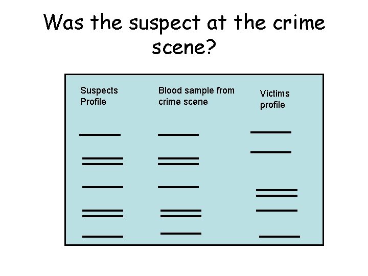 Was the suspect at the crime scene? Suspects Profile Blood sample from crime scene