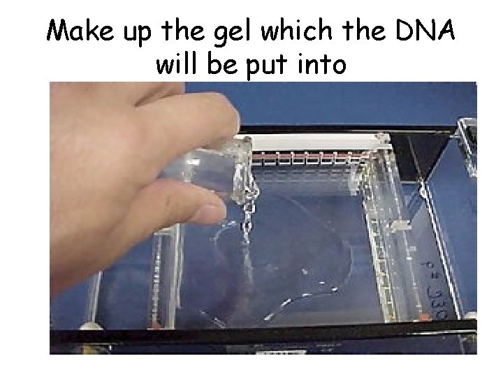 Make up the gel which the DNA will be put into 
