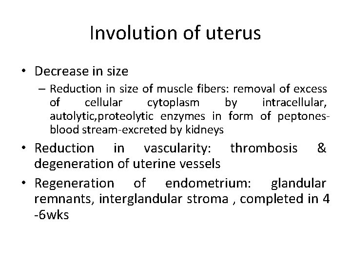 Involution of uterus • Decrease in size – Reduction in size of muscle fibers: