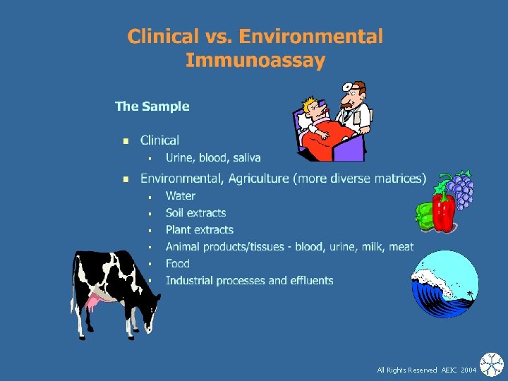 All Rights Reserved AEIC 2004 