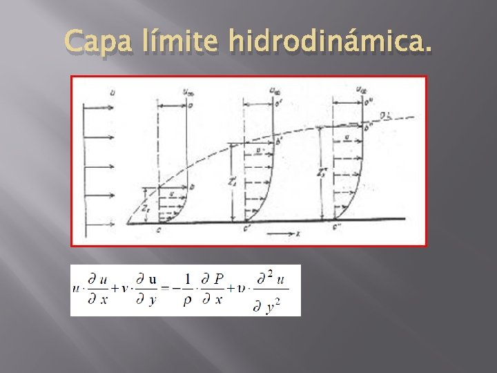 Capa límite hidrodinámica. 