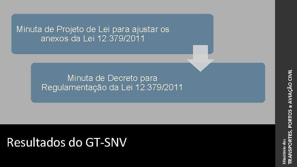 Resultados do GT-SNV Ministério dos Minuta de Decreto para Regulamentação da Lei 12. 379/2011