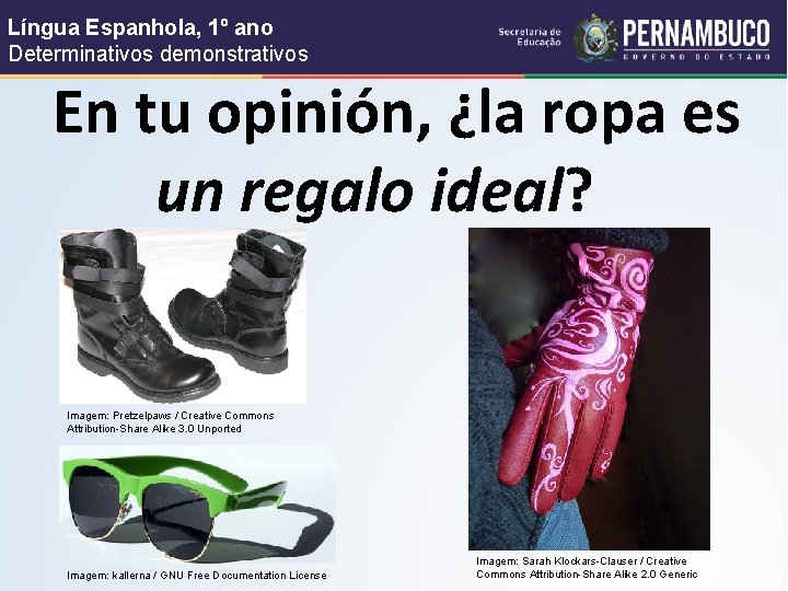 Língua Espanhola, 1º ano Determinativos demonstrativos En tu opinión, ¿la ropa es un regalo