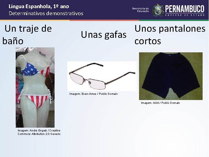 Língua Espanhola, 1º ano Determinativos demonstrativos Un traje de baño Unos pantalones Unas gafas