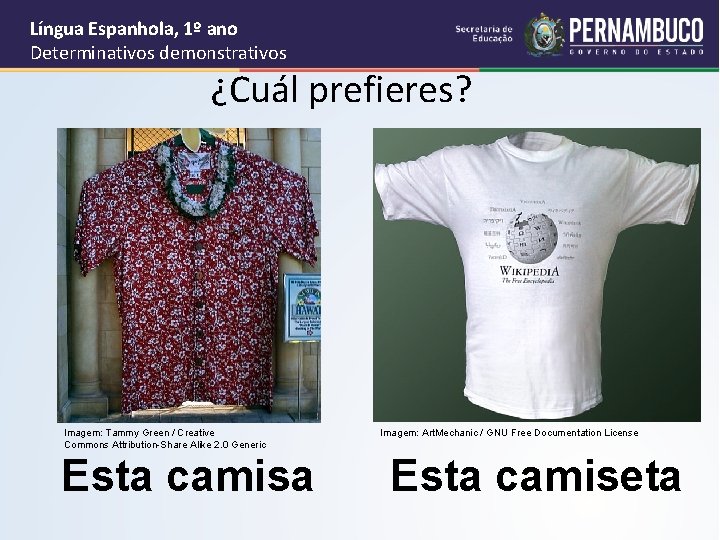 Língua Espanhola, 1º ano Determinativos demonstrativos ¿Cuál prefieres? Imagem: Tammy Green / Creative Commons