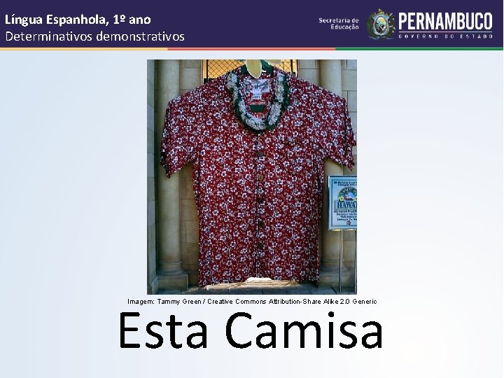 Língua Espanhola, 1º ano Determinativos demonstrativos Esta Camisa Imagem: Tammy Green / Creative Commons