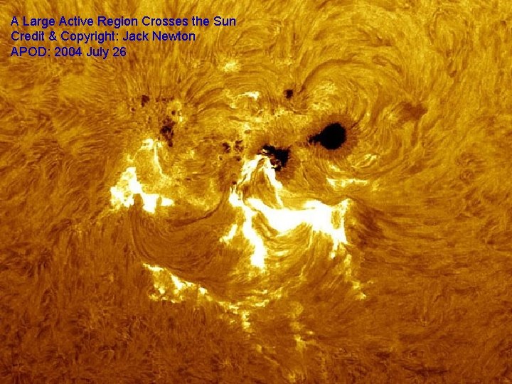 A Large Active Region Crosses the Sun Credit & Copyright: Jack Newton APOD: 2004