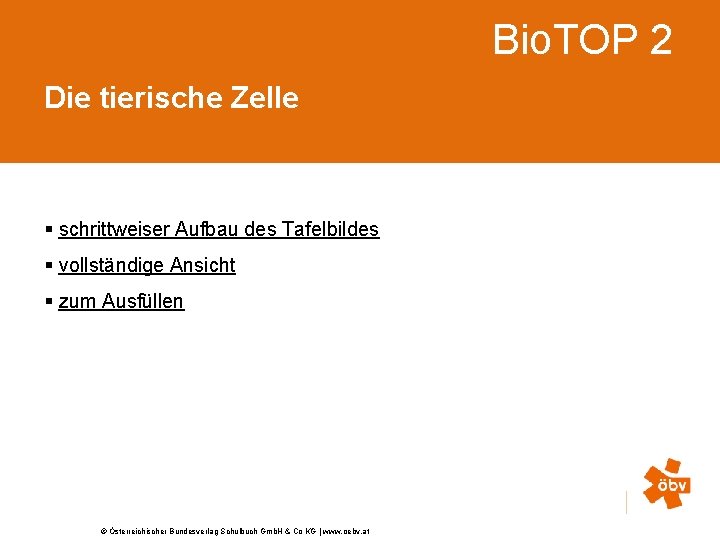 Bio. TOP 2 Die tierische Zelle § schrittweiser Aufbau des Tafelbildes § vollständige Ansicht