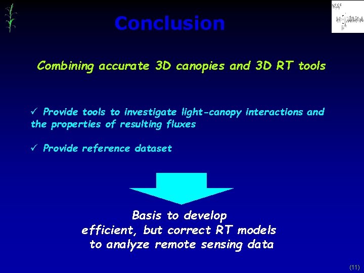 Conclusion Combining accurate 3 D canopies and 3 D RT tools ü Provide tools