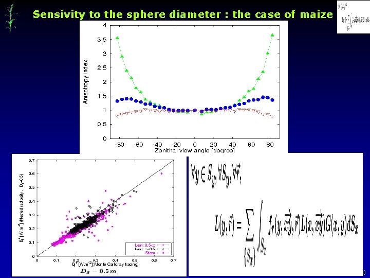 Sensivity to the sphere diameter : the case of maize (15) 