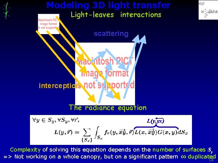 Modeling 3 D light transfer Light-leaves interactions scattering interception The radiance equation L(y, yx)