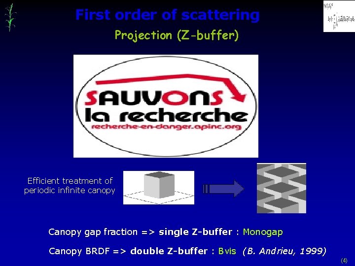 First order of scattering Projection (Z-buffer) Efficient treatment of periodic infinite canopy Canopy gap