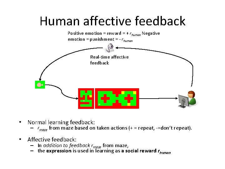 Human affective feedback Positive emotion = reward = + rhuman Negative emotion = punishment