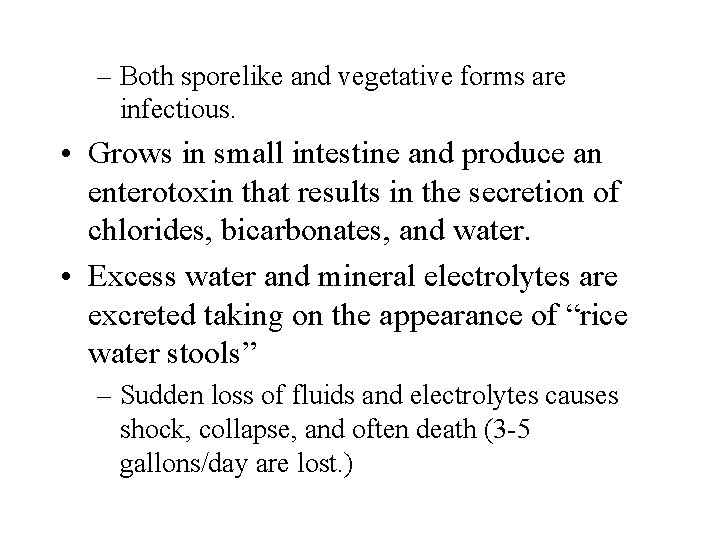 – Both sporelike and vegetative forms are infectious. • Grows in small intestine and