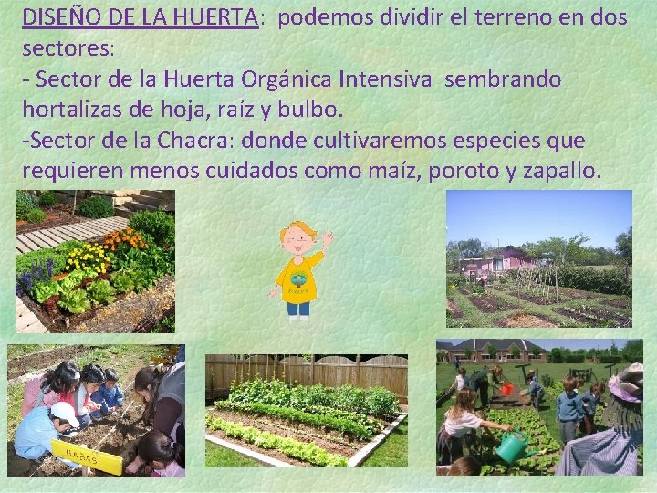 DISEÑO DE LA HUERTA: podemos dividir el terreno en dos sectores: - Sector de