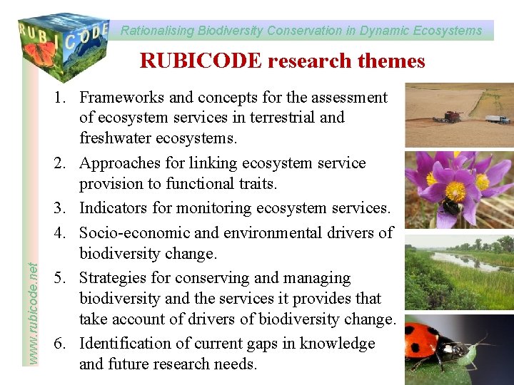 Rationalising Biodiversity Conservation in Dynamic Ecosystems RUBICODE www
