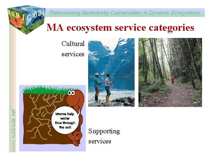 Rationalising Biodiversity Conservation in Dynamic Ecosystems RUBICODE www