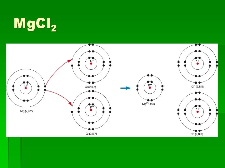 Mg. Cl 2 