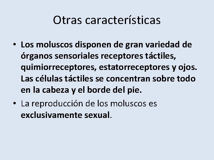 Otras características • Los moluscos disponen de gran variedad de órganos sensoriales receptores táctiles,