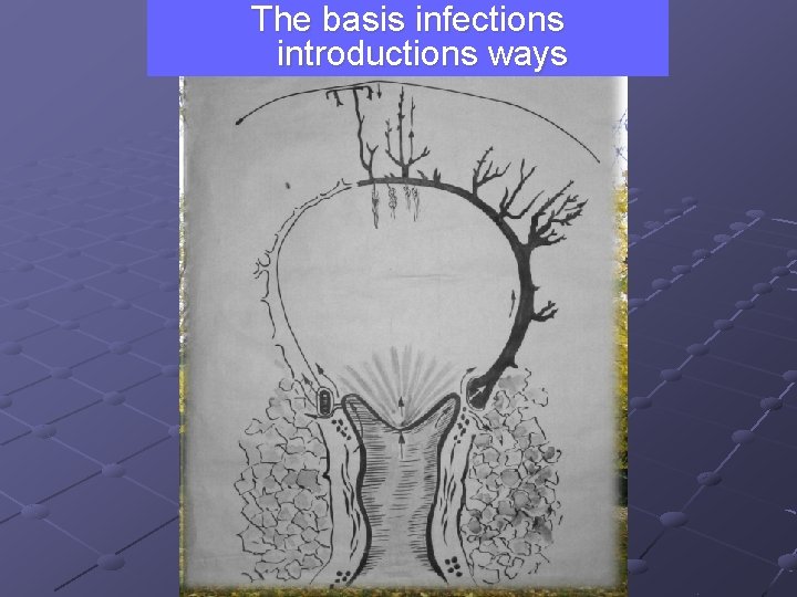 The basis infections introductions ways 