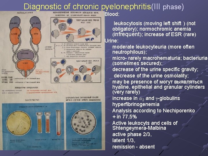 Diagnostic of chronic pyelonephritis(III phase) Blood: leukocytosis (moving left shift ) (not obligatory); normochromic