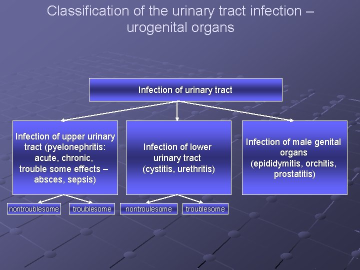 Classification of the urinary tract infection – urogenital organs Infection of urinary tract Infection
