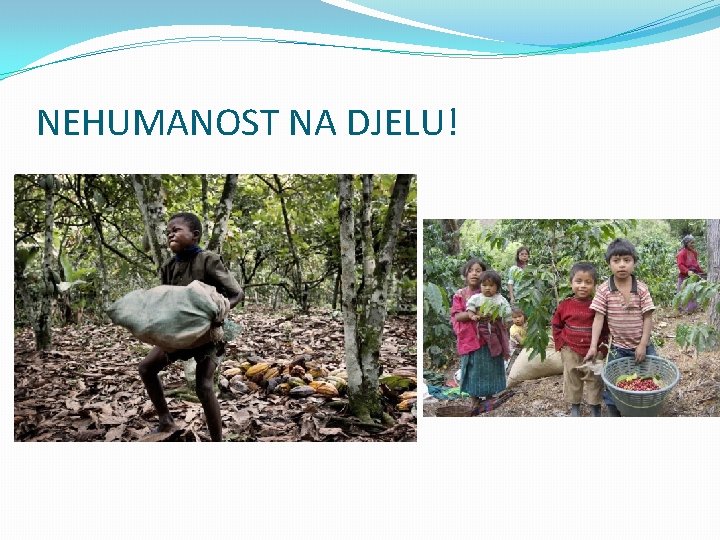 NEHUMANOST NA DJELU! 