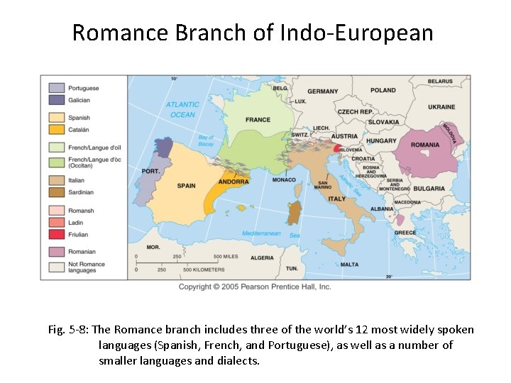Romance Branch of Indo-European Fig. 5 -8: The Romance branch includes three of the