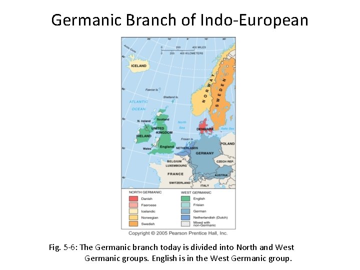 Germanic Branch of Indo-European Fig. 5 -6: The Germanic branch today is divided into