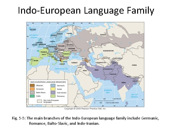 Indo-European Language Family Fig. 5 -5: The main branches of the Indo-European language family