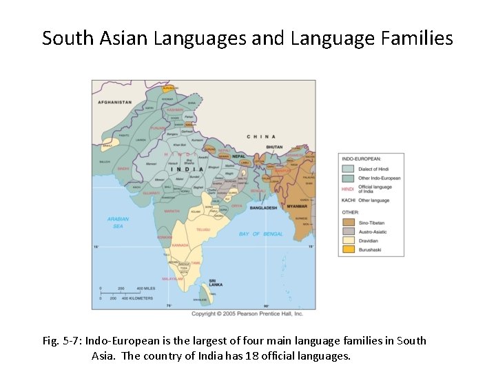 South Asian Languages and Language Families Fig. 5 -7: Indo-European is the largest of