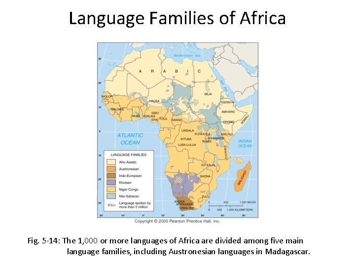Language Families of Africa Fig. 5 -14: The 1, 000 or more languages of