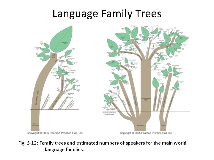 Language Family Trees Fig. 5 -12: Family trees and estimated numbers of speakers for