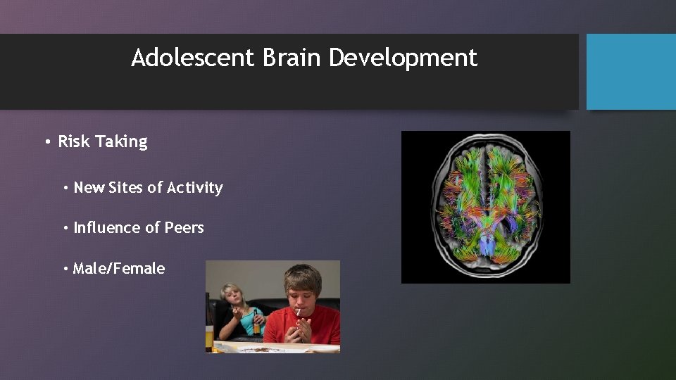 Adolescent Brain Development • Risk Taking • New Sites of Activity • Influence of