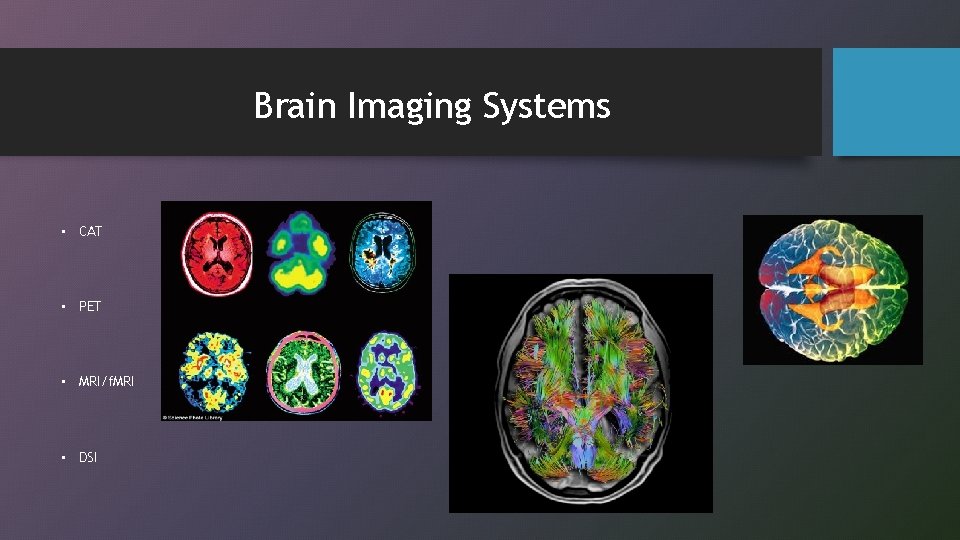 Brain Imaging Systems • CAT • PET • MRI/f. MRI • DSI 