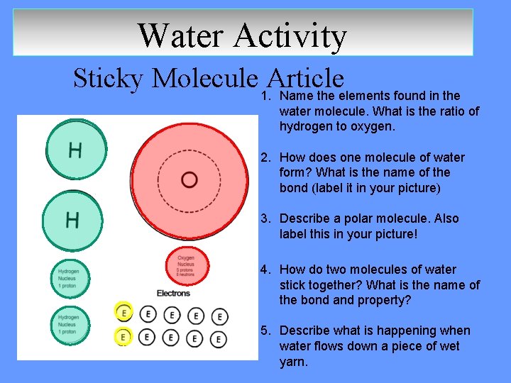 Water Activity Sticky Molecule 1. Article Name the elements found in the water molecule.