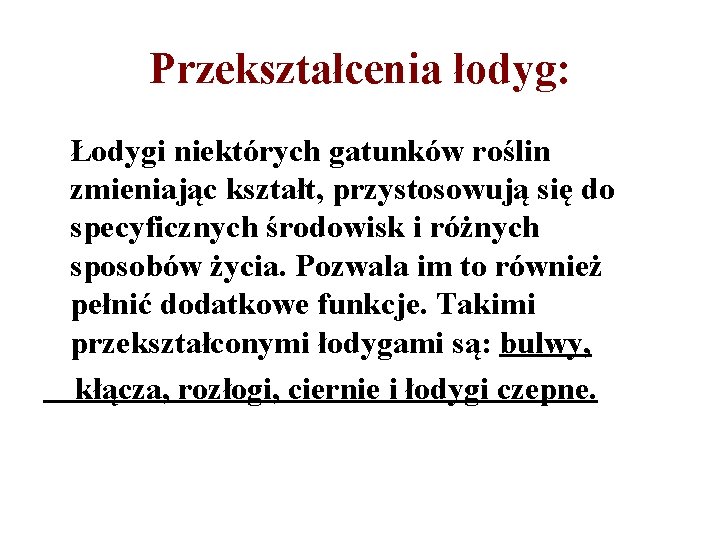 Przekształcenia łodyg: Łodygi niektórych gatunków roślin zmieniając kształt, przystosowują się do specyficznych środowisk i