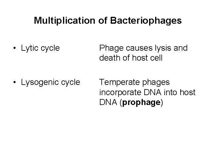 Multiplication of Bacteriophages • Lytic cycle Phage causes lysis and death of host cell