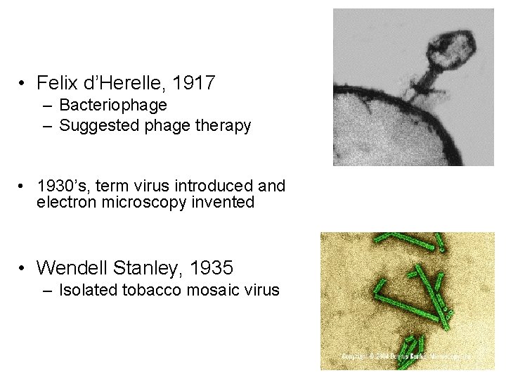  • Felix d’Herelle, 1917 – Bacteriophage – Suggested phage therapy • 1930’s, term