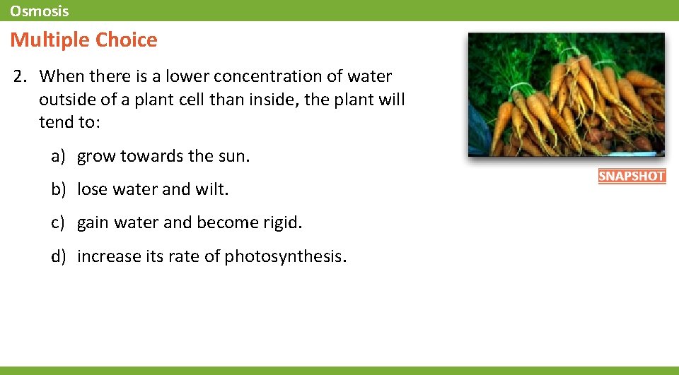 Osmosis Multiple Choice 2. When there is a lower concentration of water outside of