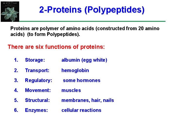 2 -Proteins (Polypeptides) Proteins are polymer of amino acids (constructed from 20 amino acids)