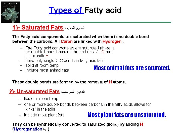 Types of Fatty acid 1)- Saturated Fats ﺍﻟﺪﻫﻮﻥ ﺍﻟﻤﺸﺒﻌﺔ The Fatty acid components are