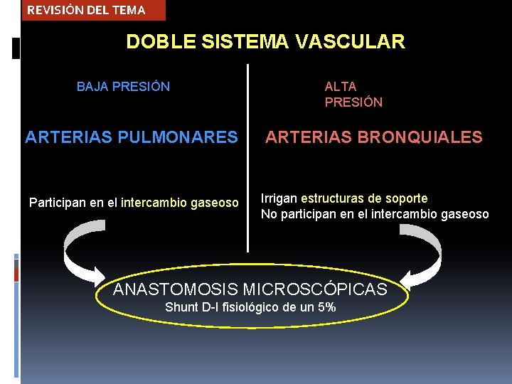 REVISIÓN DEL TEMA DOBLE SISTEMA VASCULAR BAJA PRESIÓN ALTA PRESIÓN ARTERIAS PULMONARES ARTERIAS BRONQUIALES