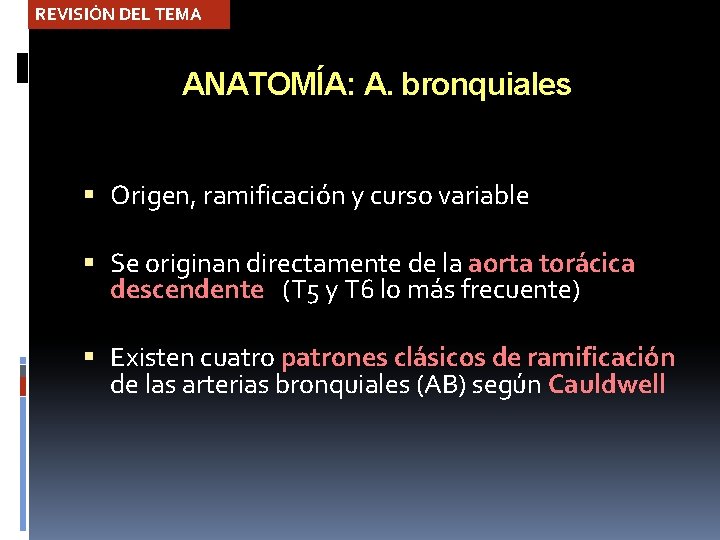 REVISIÓN DEL TEMA ANATOMÍA: A. bronquiales Origen, ramificación y curso variable Se originan directamente