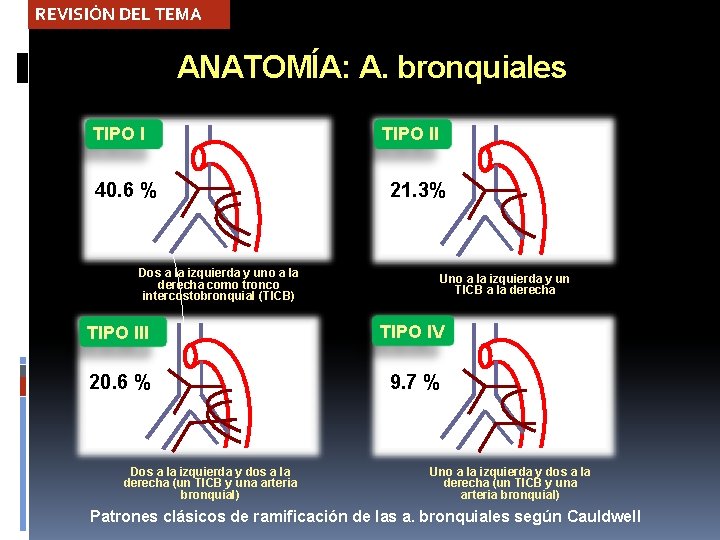 REVISIÓN DEL TEMA ANATOMÍA: A. bronquiales TIPO I 40. 6 % Dos a la