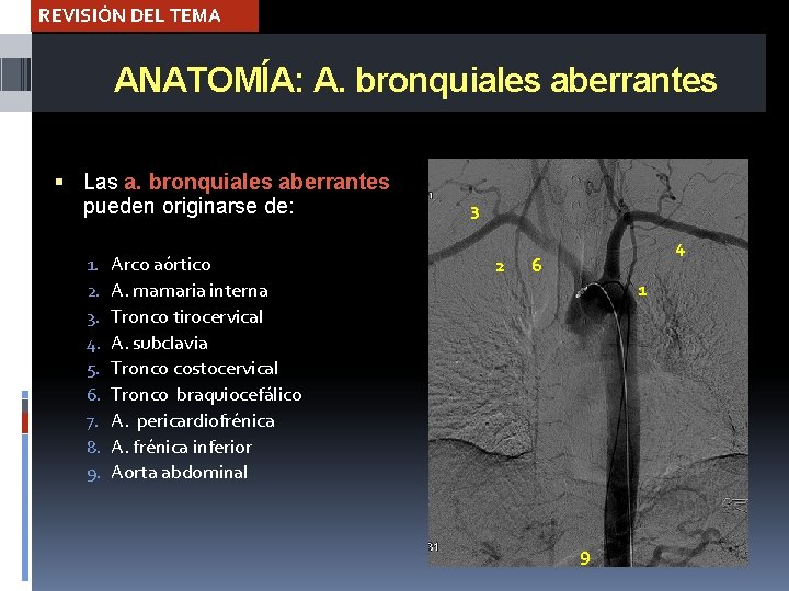 REVISIÓN DEL TEMA ANATOMÍA: A. bronquiales aberrantes Las a. bronquiales aberrantes pueden originarse de: